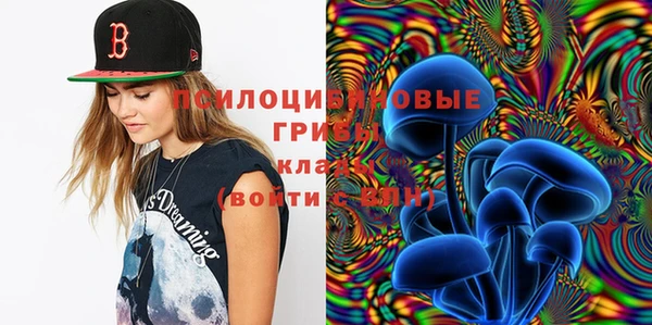 дурь Волоколамск