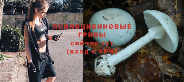 герыч Володарск