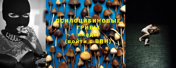 амф Лабытнанги