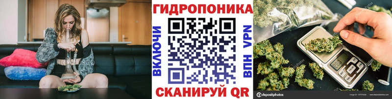 сколько стоит Железногорск Шишки марихуана гибрид